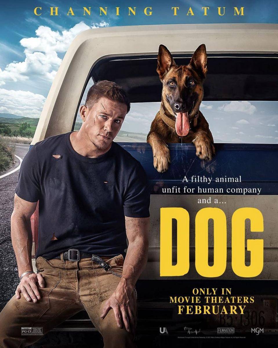 Channing Tatum dalam poster film Dog (instagram.com/dogthefilm)