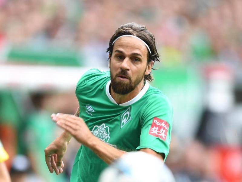 Martin Harnik bersama Werder Bremen (stimme.de)
