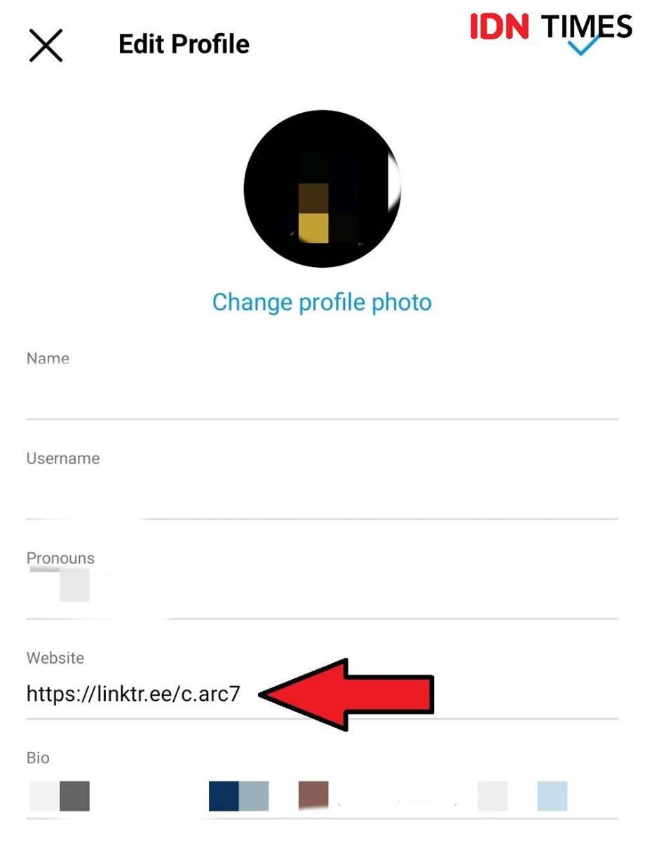 memasukkan kode Linktree di bagian Website (IDN Times/Alfonsus Adi Putra)