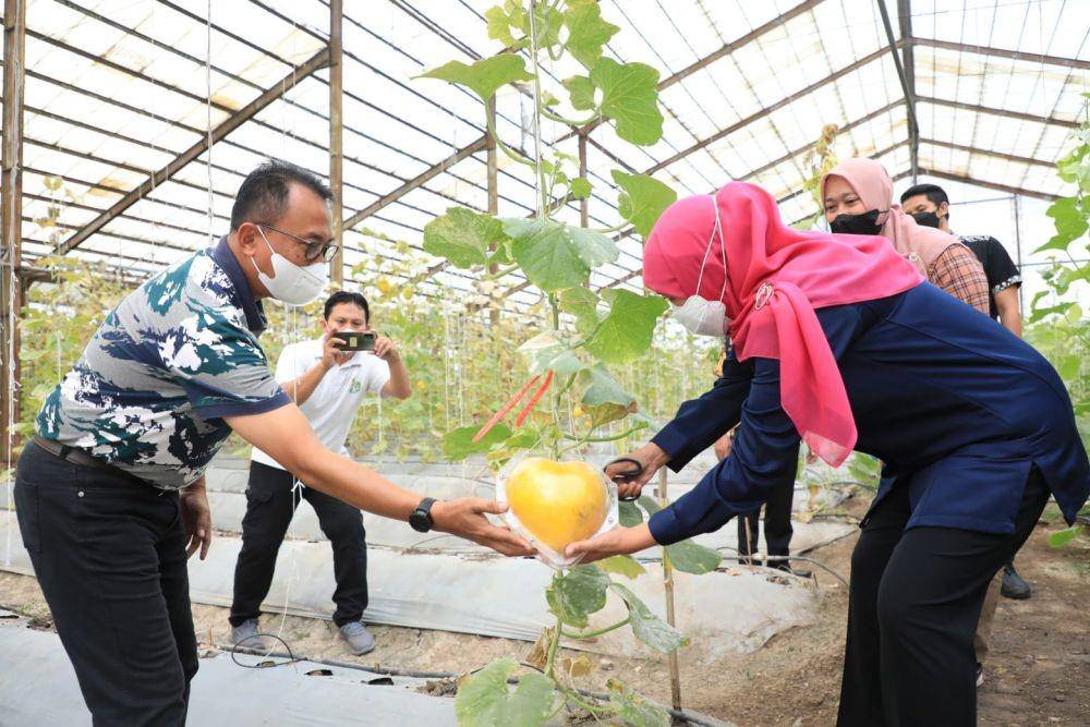 Gubernur Jatim, Khofifah Indar Parawansa saat tinjau budidaya melon love dan kotak di Sidoarjo. Dok. Humas Pemprov Jatim.