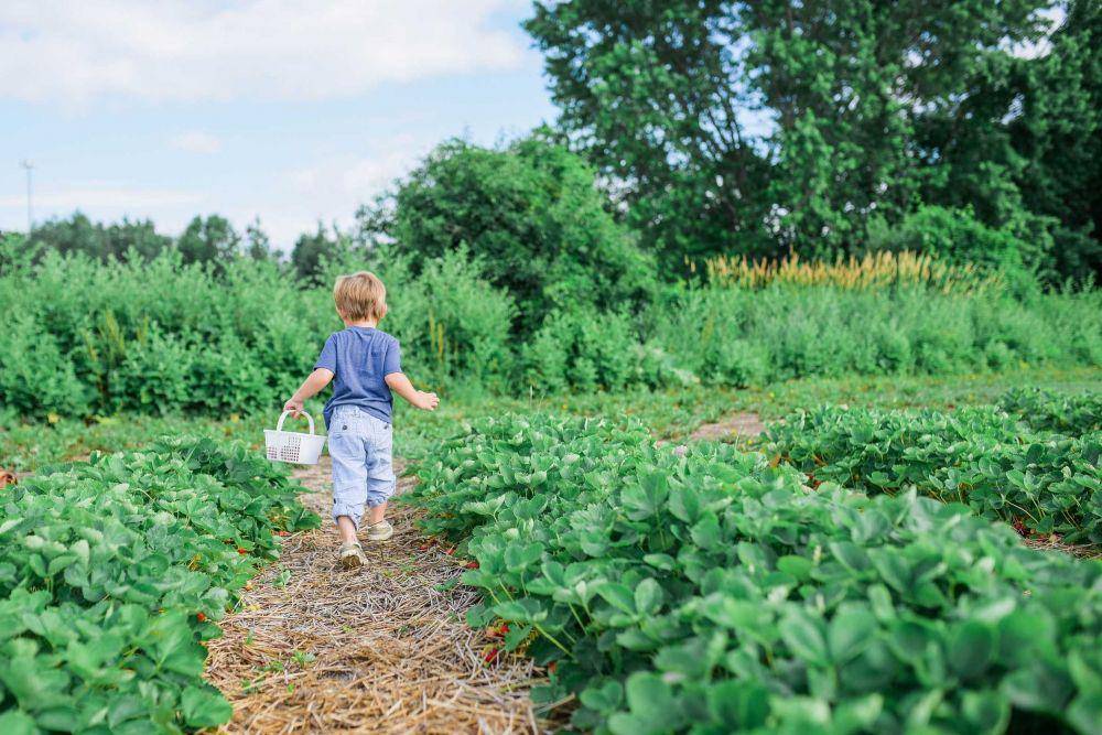 ilustrasi anak berkebun (unsplash.com/@Paige_Cody)