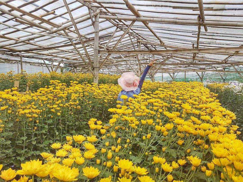 Setiya Aji Flower Farm (instagram.com/marsyandaap_)