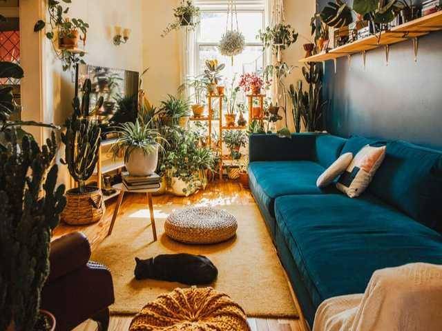 Ilustrasi ruangan bergaya Bohemian (unsplash.com/Lydia)