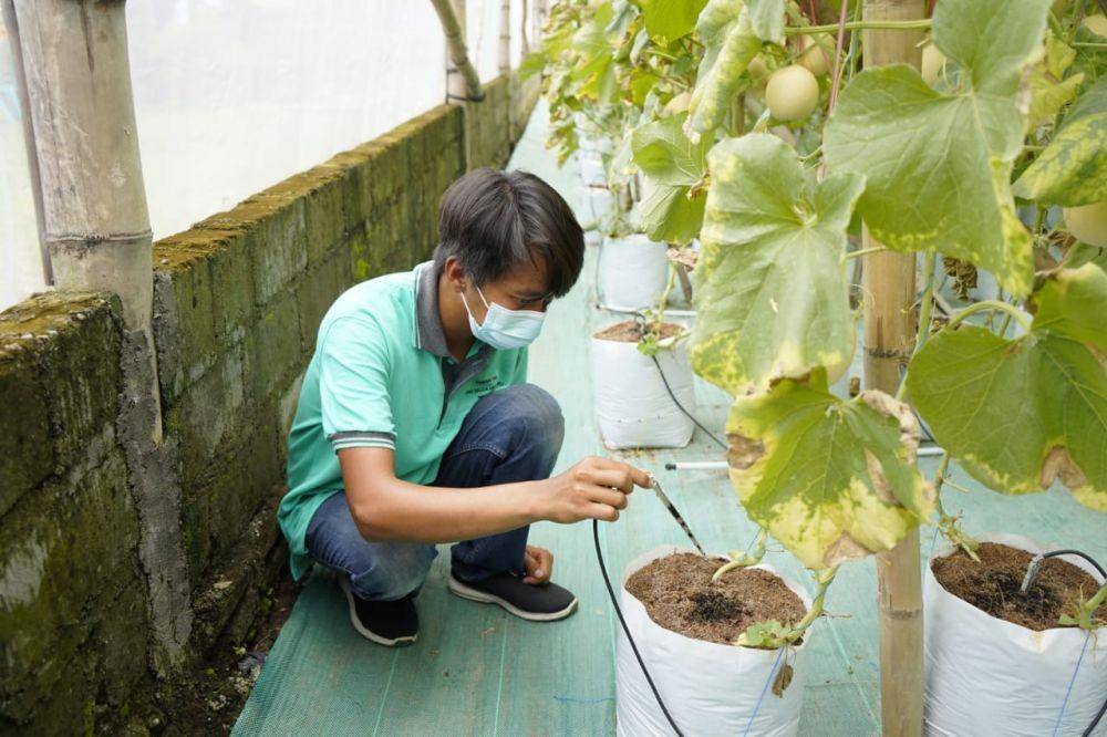Bupati Kediri Hanindhito Himawan Pramono mengunjungi kelompok Tani Muda Melo Hydro di Desa Ngadiluwih, Kecamatan Ngadiluwih, Senin (21/2/2022). (Dok. Pemkab Kediri)