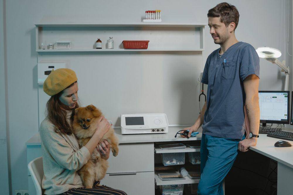 ilustrasi memeriksakan anjing ke dokter hewan (pexels.com/Tima Miroshnichenko)