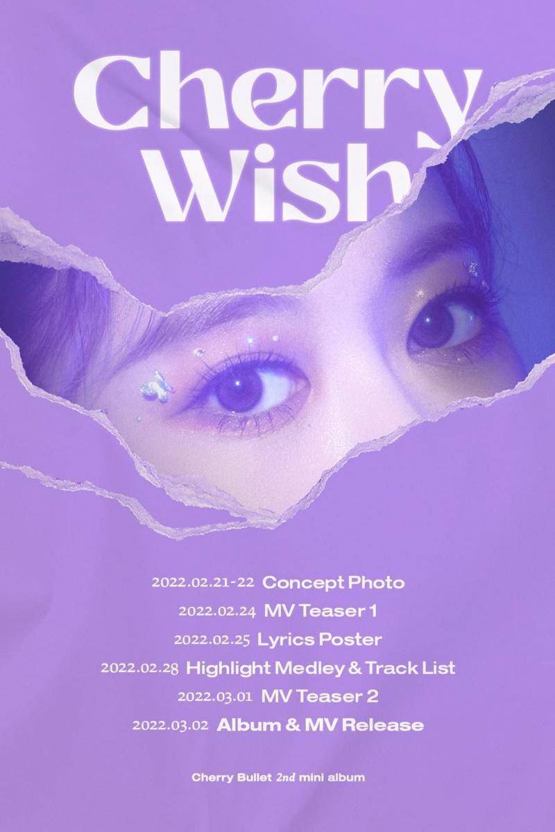jadwal perilisan mini album Cherry Bullet Cherry Wish (instagram.com/cherrybullet)