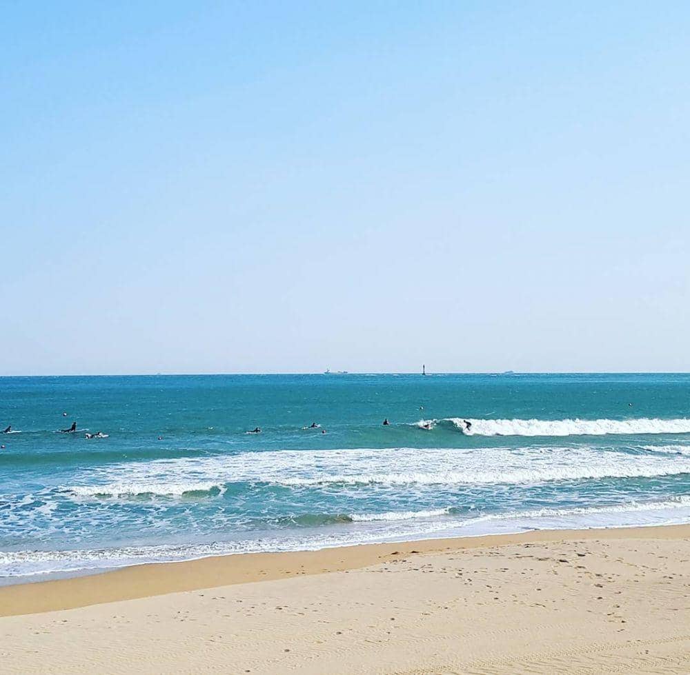 potret Pantai Songjeong (instagram.com/surfholic_kr)