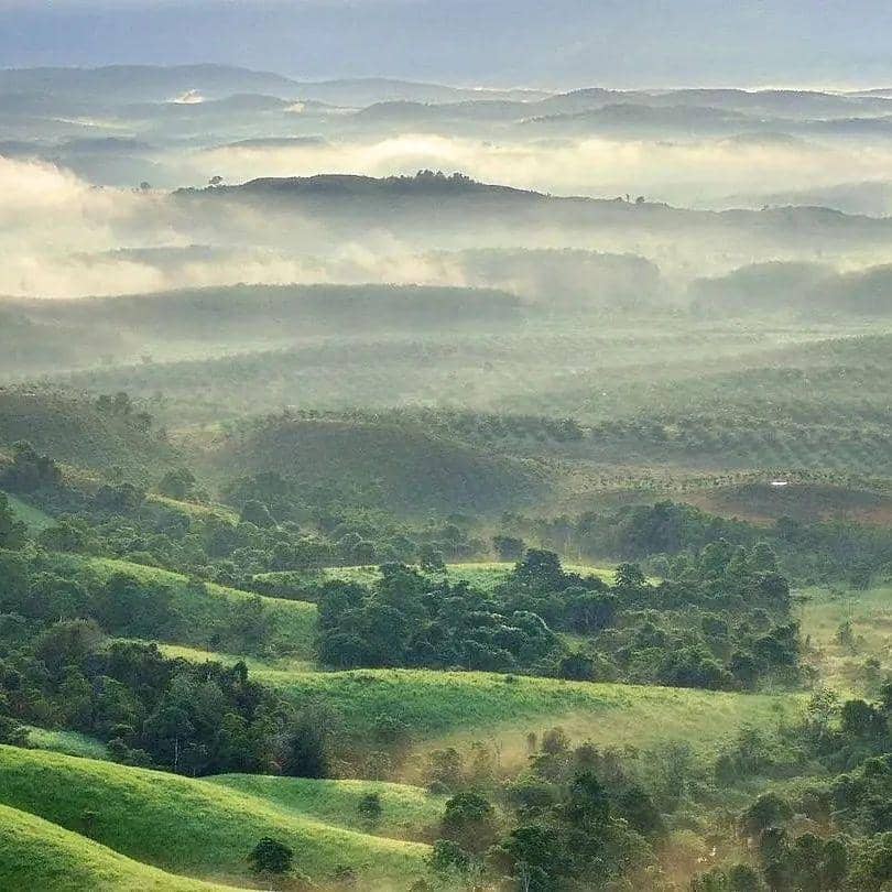 Bukit Lintang (instagram.com/pesona.kalimantan)