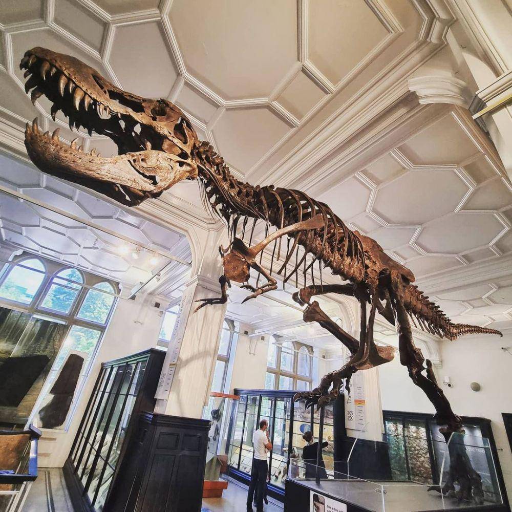 potret Manchester Museum (instagram.com/brooksyx_x)