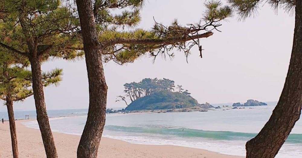 potret Pantai Jinha (instagram.com/one.ocean_tidal.wave)