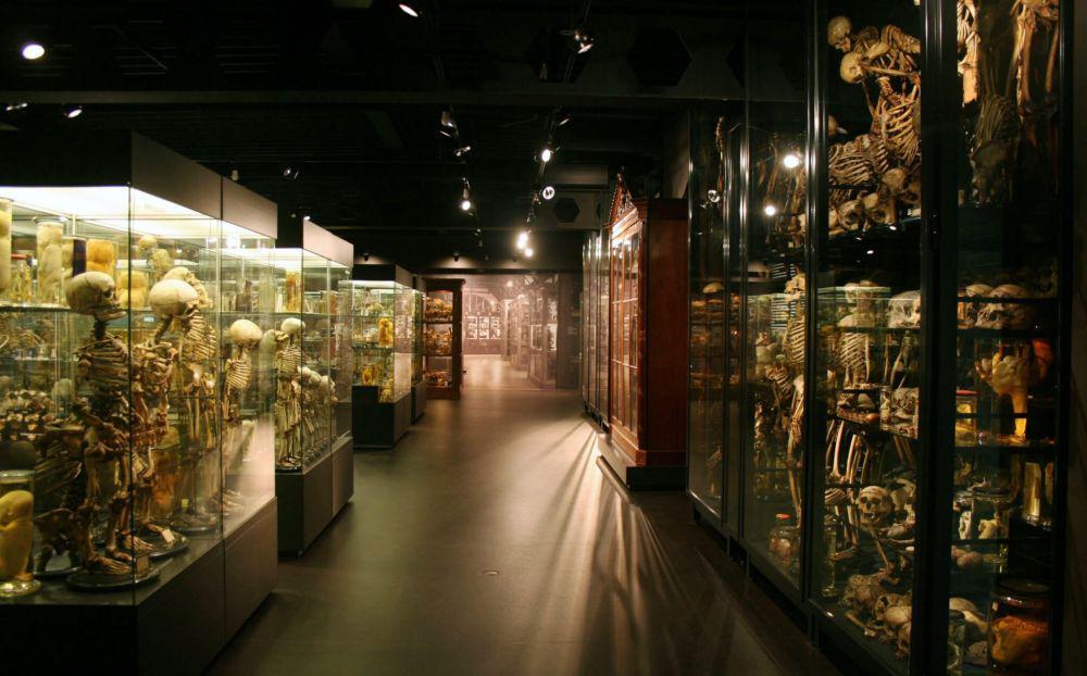5 Museum Paling Unik di Belanda, Simpan Koleksi Menarik dan Menantang