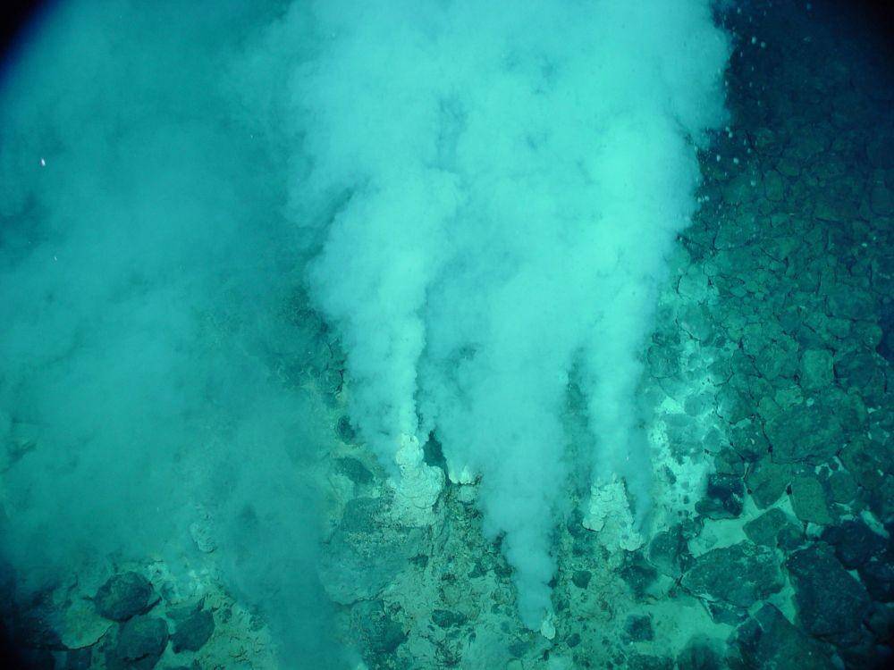 ventilasi hidrotermal di Palung Mariana (wikimedia.org)