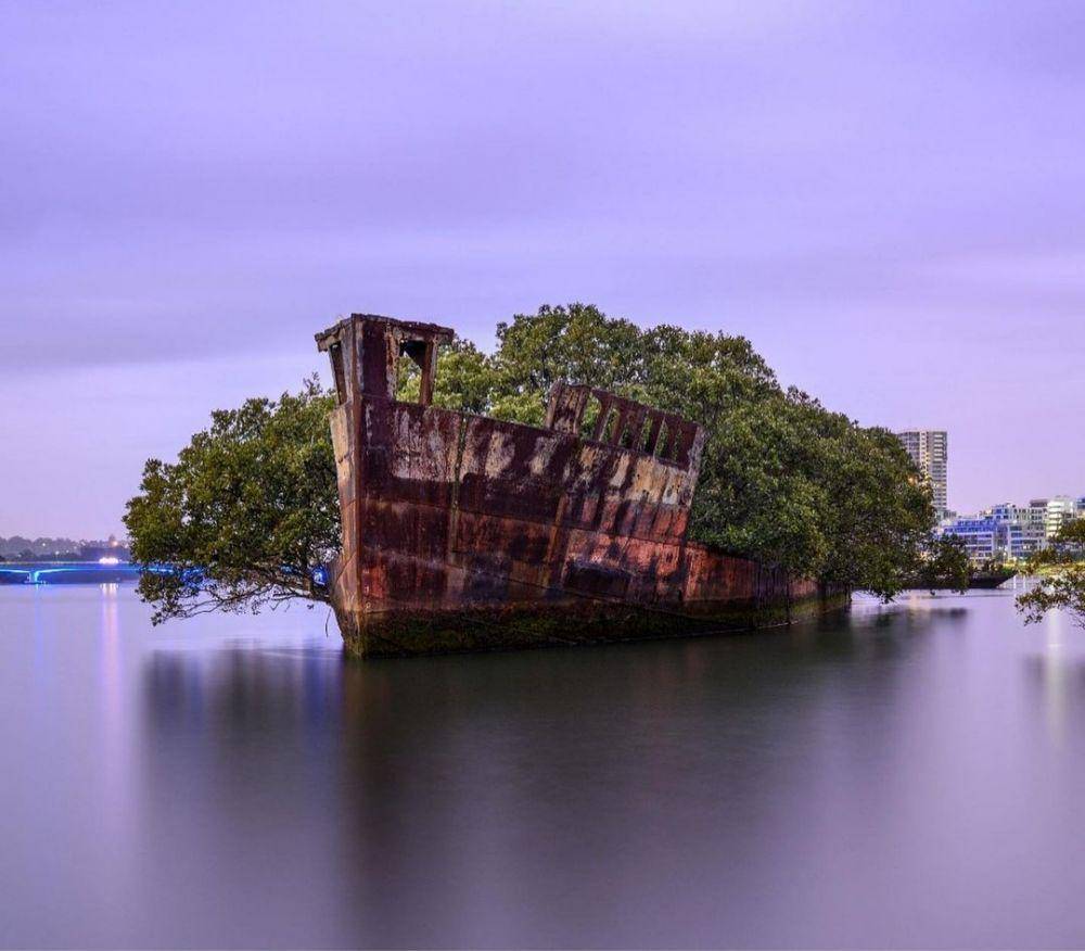 SS Ayrfield (instagram.com/freakzilla11)
