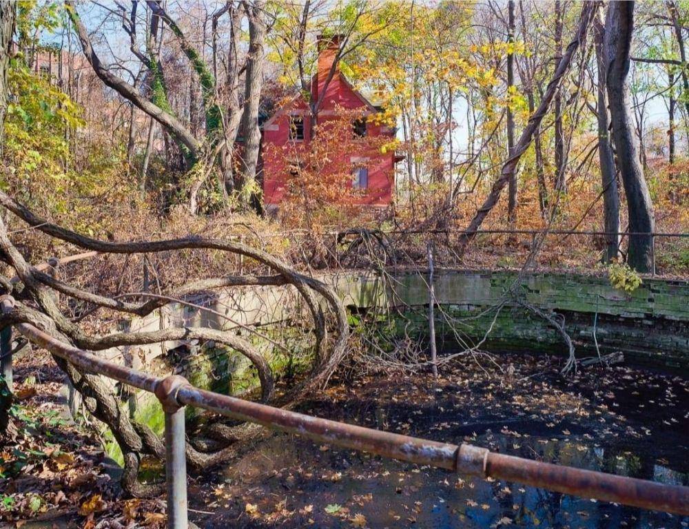 North Brother Island (instagram.com/christopherpaynephoto)