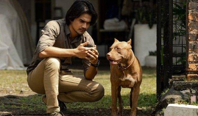cuplikan film Marley (instagram.com/marley_movie)