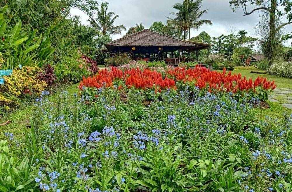 Gardenia Country Inn (instagram.com/gardeniacountryinn)