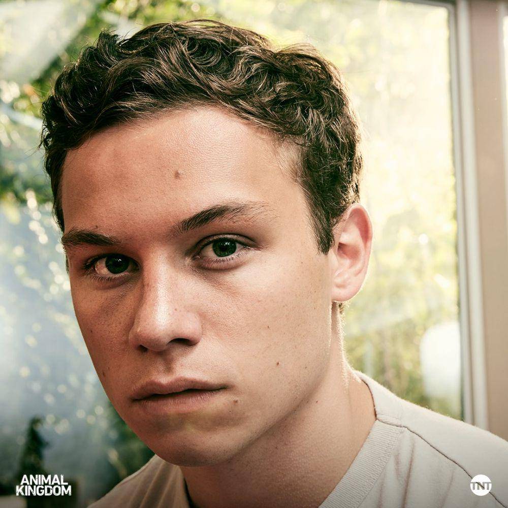 potret Finn Cole (twitter.com/animalkingdom)