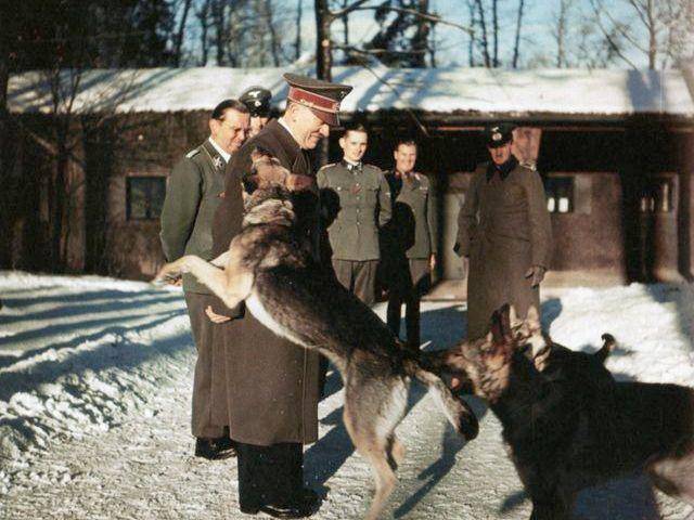 Hitler mengajari anjing yang bernama "Blondi" segala macam trik pada musim dingin 1942 di markas "Wolfsschanze" dekat Rastenburg di Prusia Timur. (spiegel.de/Walter Frentz Collection)