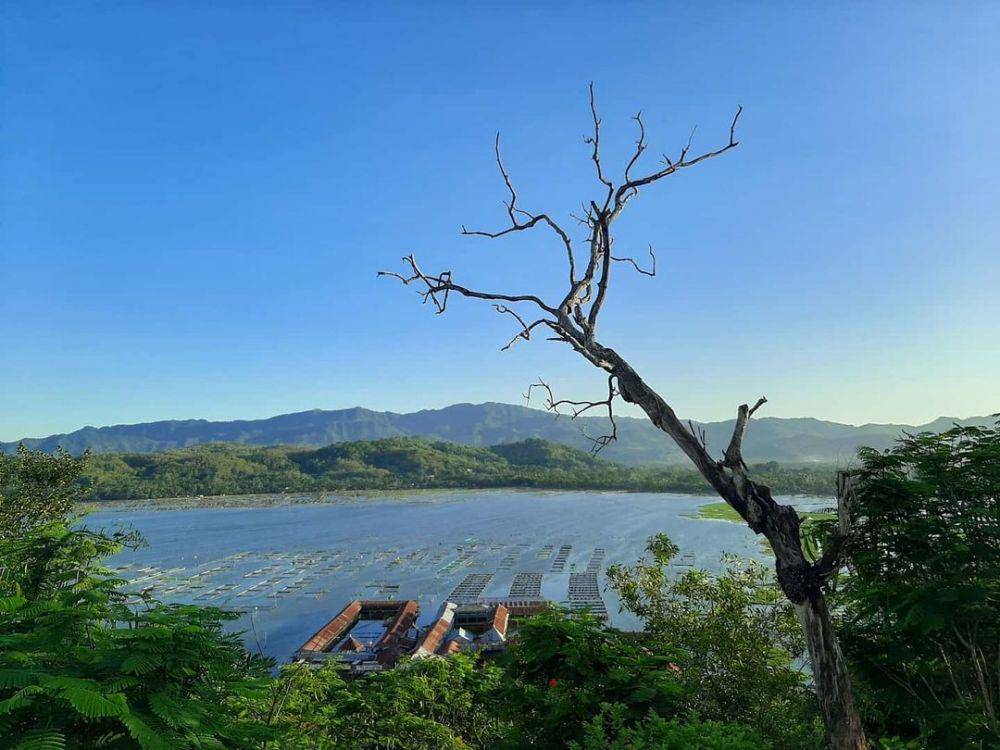 Rowo Jombor (instagram.com/arumambarwati30)