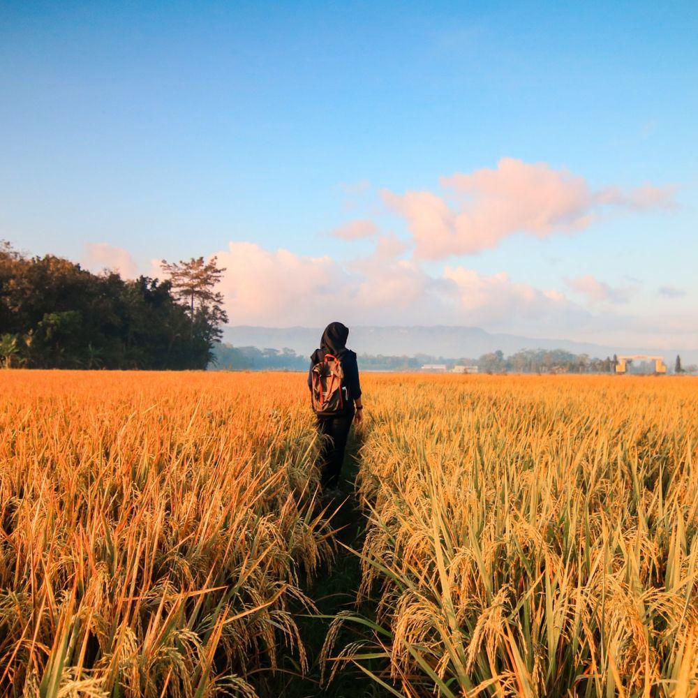 5 Pepatah dalam Bahasa Sunda yang Penuh Nasihat