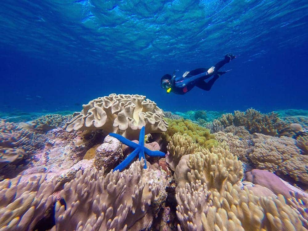 Taman Nasional Wakatobi (instagram.com/visitwakatobi)