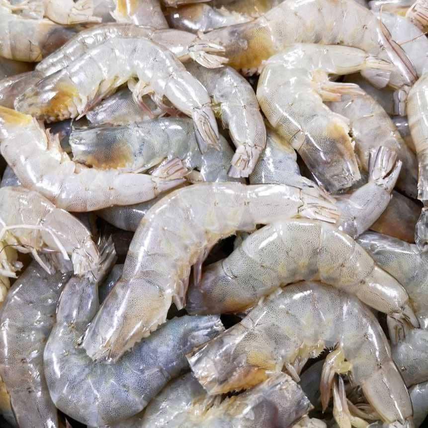 ilustrasi udang yang telah bersih (instagram.com/barangdapurbasah)