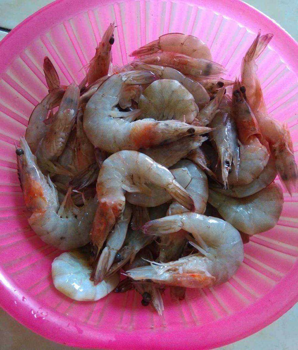 Udang mentah (Instagram.com/yulia.anita69)