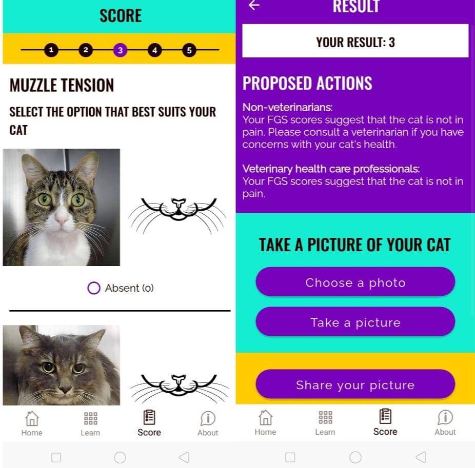 Feline Grimace Scale (Dok. Steagall Laboratory)