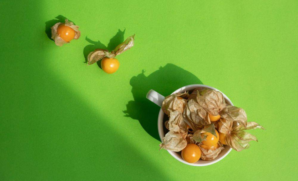 ilustrasi buah ciplukan dalam wadah (pexels.com/Any Lane)