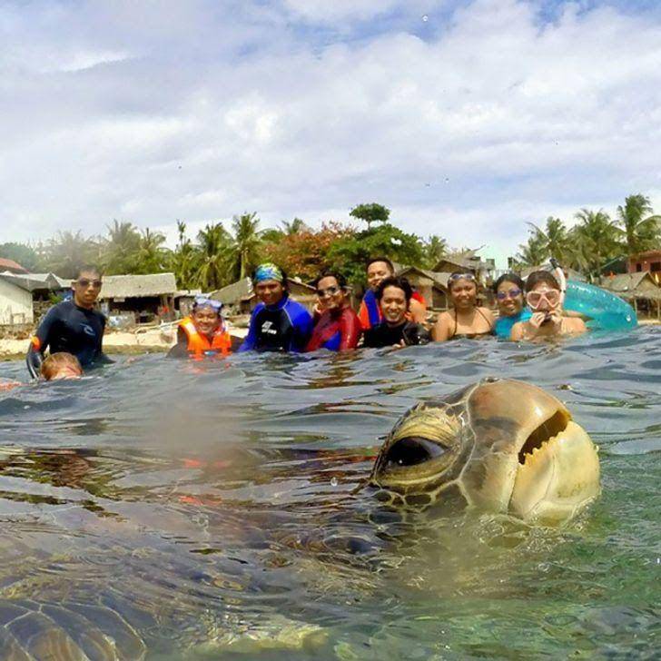 potret photobomb lucu (reddit.com/StopClickBait)