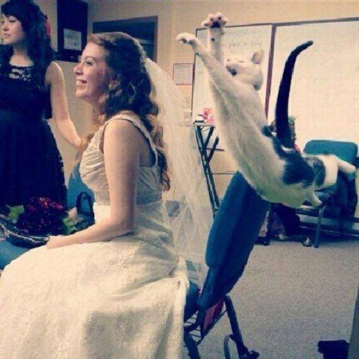 potret photobomb lucu (reddit.com/Indecisiveredditor)