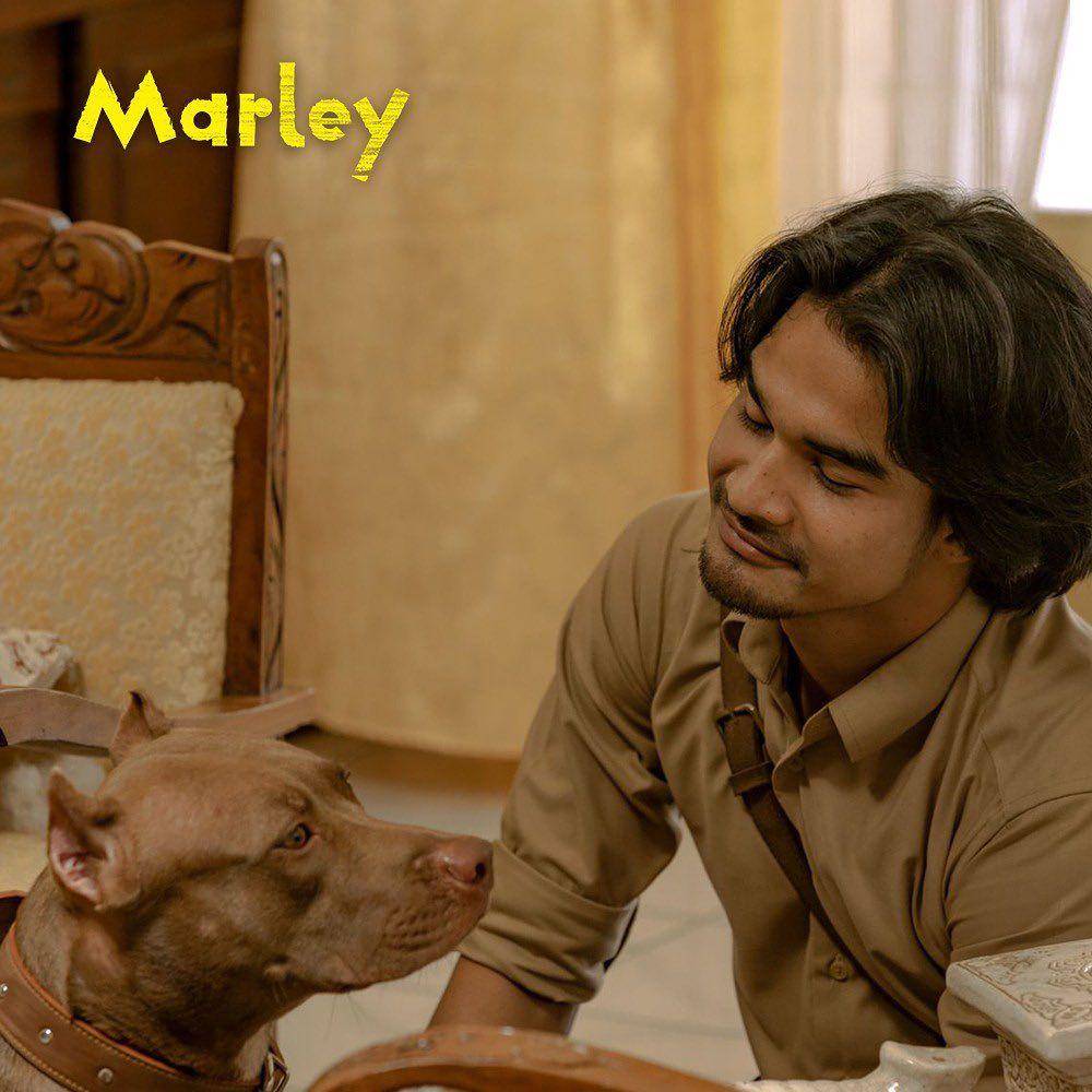 cuplikan film Marley (instagram.com/dennysiregarproduction)