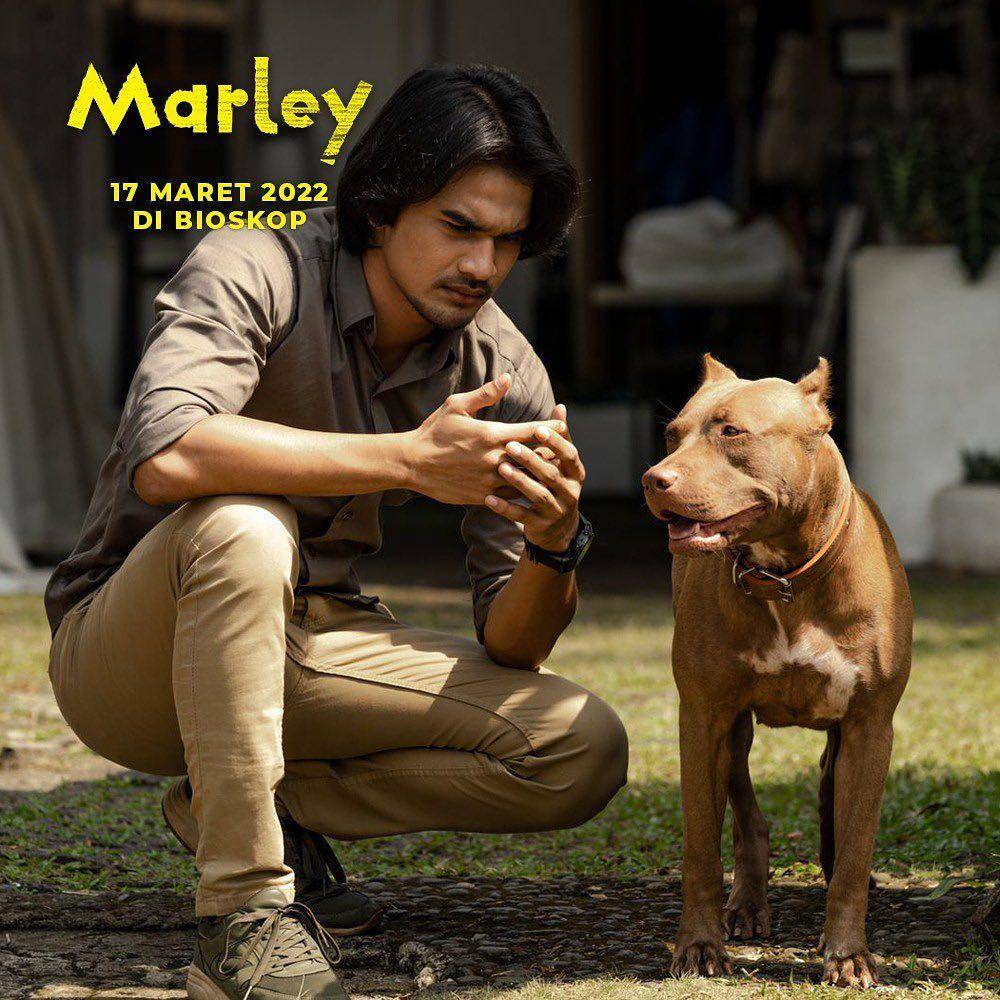 cuplikan film Marley (instagram.com/dennysiregarproduction)