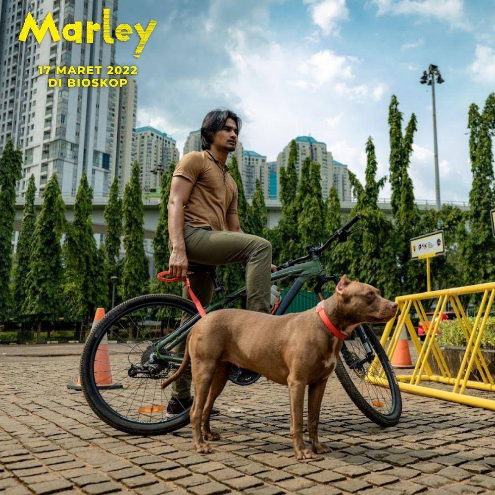 cuplikan film Marley (instagram.com/dennysiregarproduction)