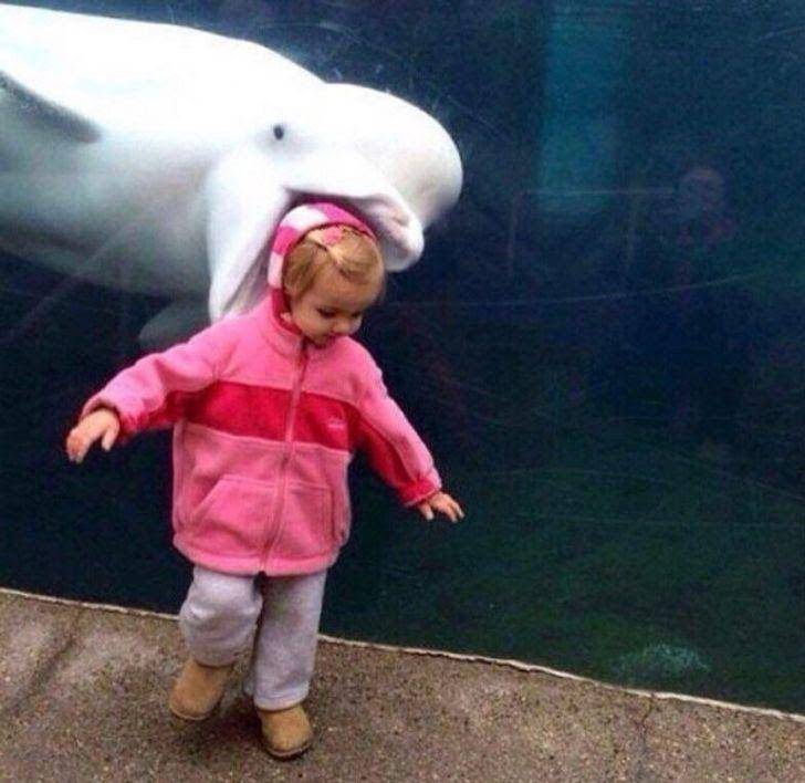 potret photobomb lucu (Reddit.com/sloppyFart)