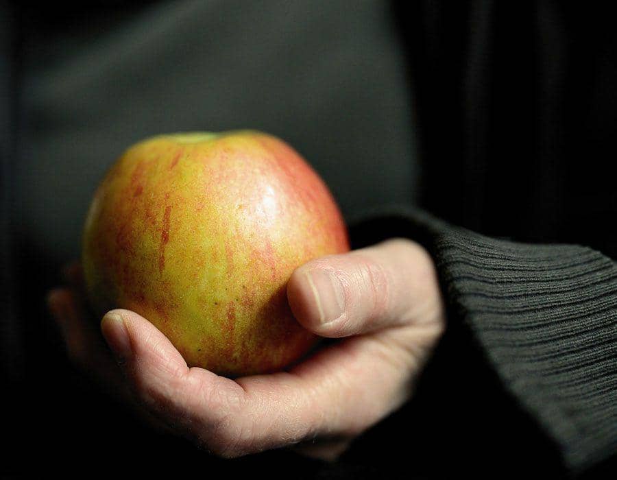 ilustrasi makanan (pixabay.com/congerdesign)