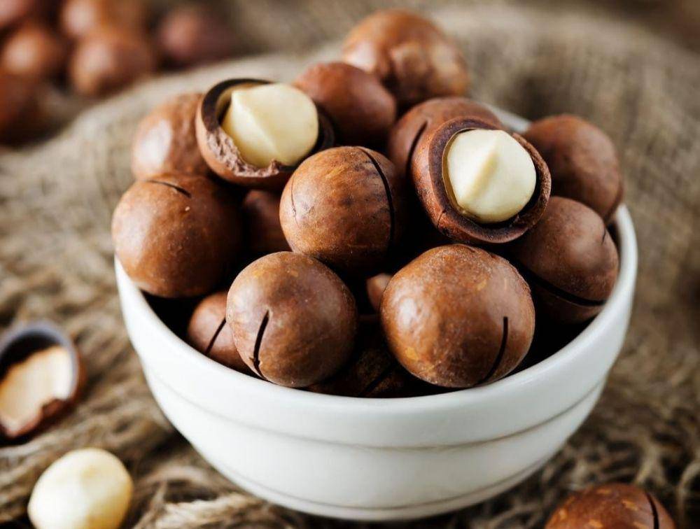 potret kacang macadamia (instagram.com/lotus_organicsplus)
