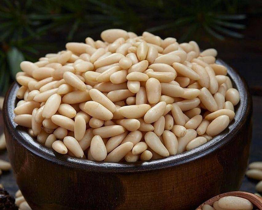potret kacang pinus (instagram.com/karacakozalakk)
