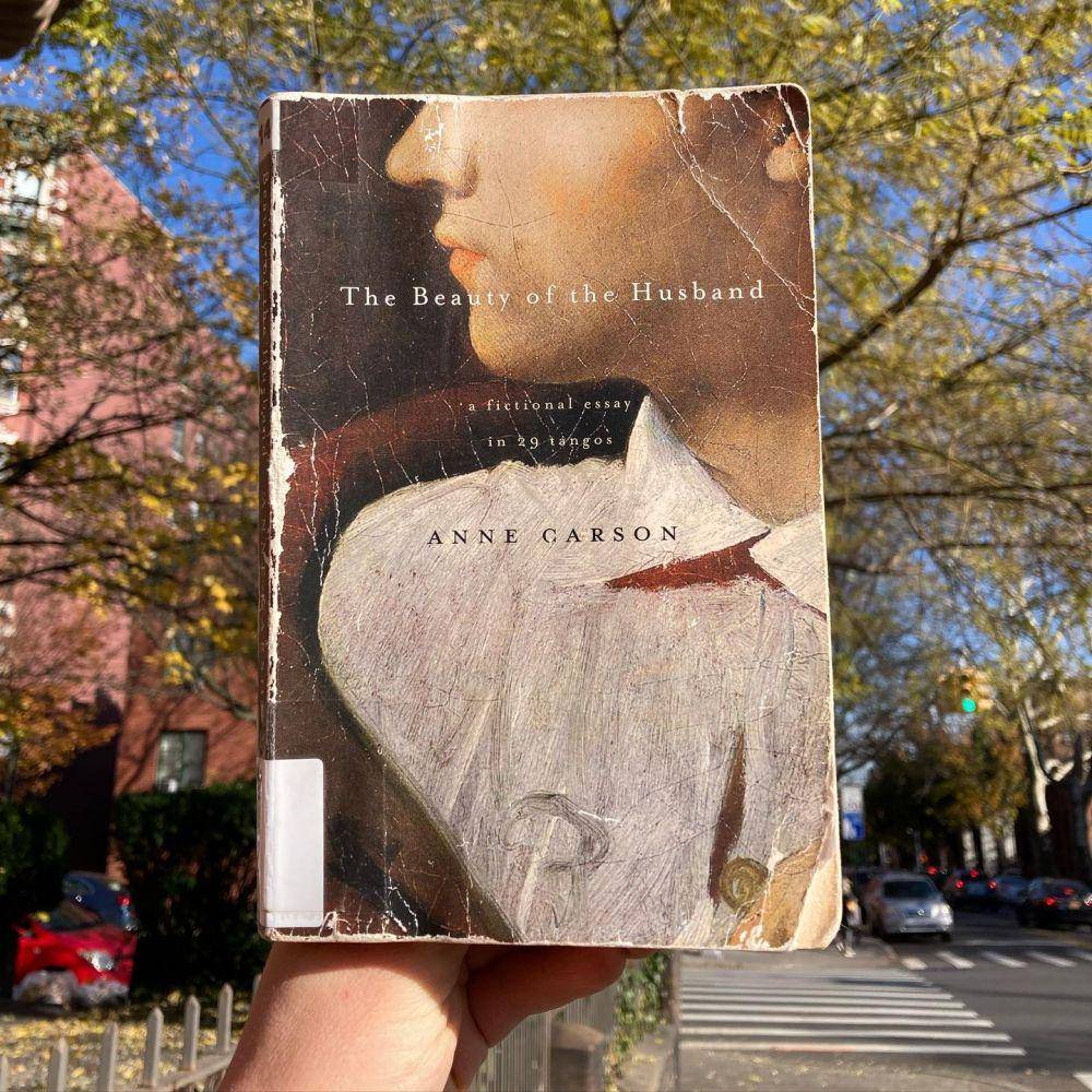 buku The Beauty of the Husband oleh Anne Carson (instagram.com/book.blob)