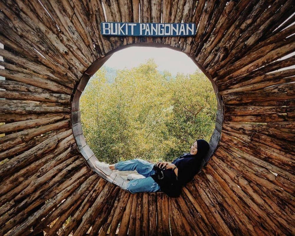 Bukit Pangoman Pringsewu. (Instagram.com/@ameliaeka.i ).