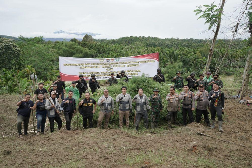 Polisi Temukan Ladang yang Ditanami 62 Ribu Batang Ganja di Aceh