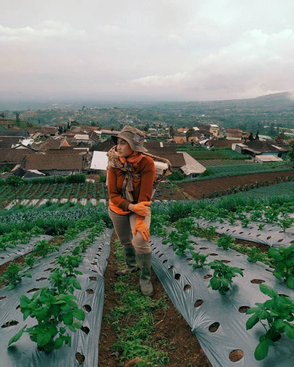 Novi Listiana (instagram.com/novilisty_)