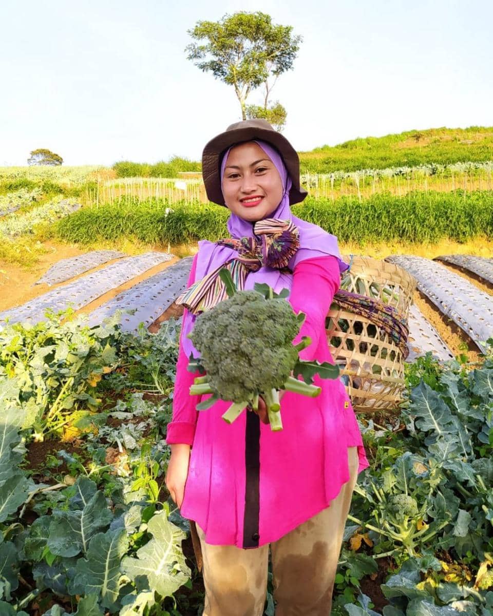 Novi Listiana (instagram.com/novilisty_)