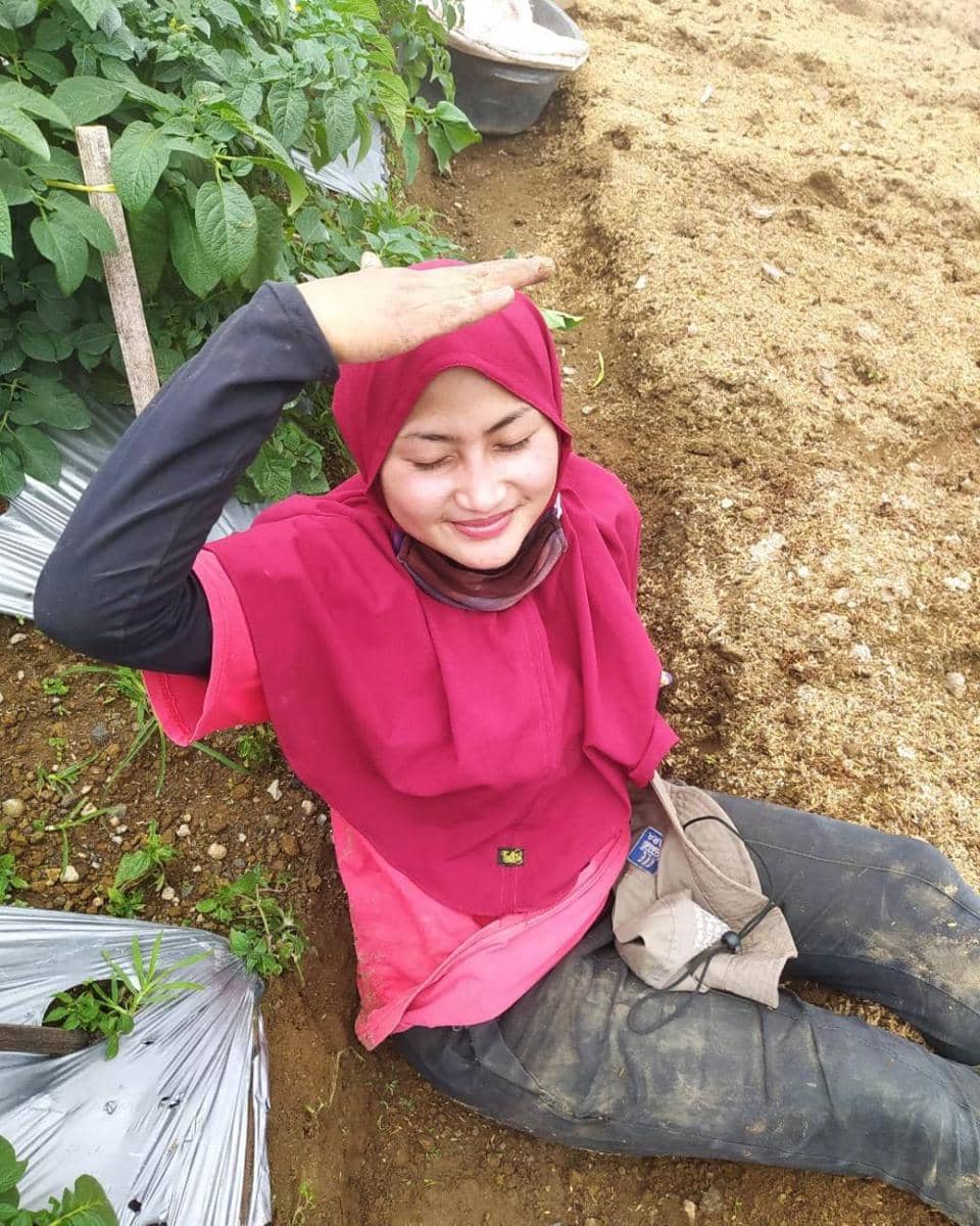 Novi Listiana (instagram.com/novilisty_)