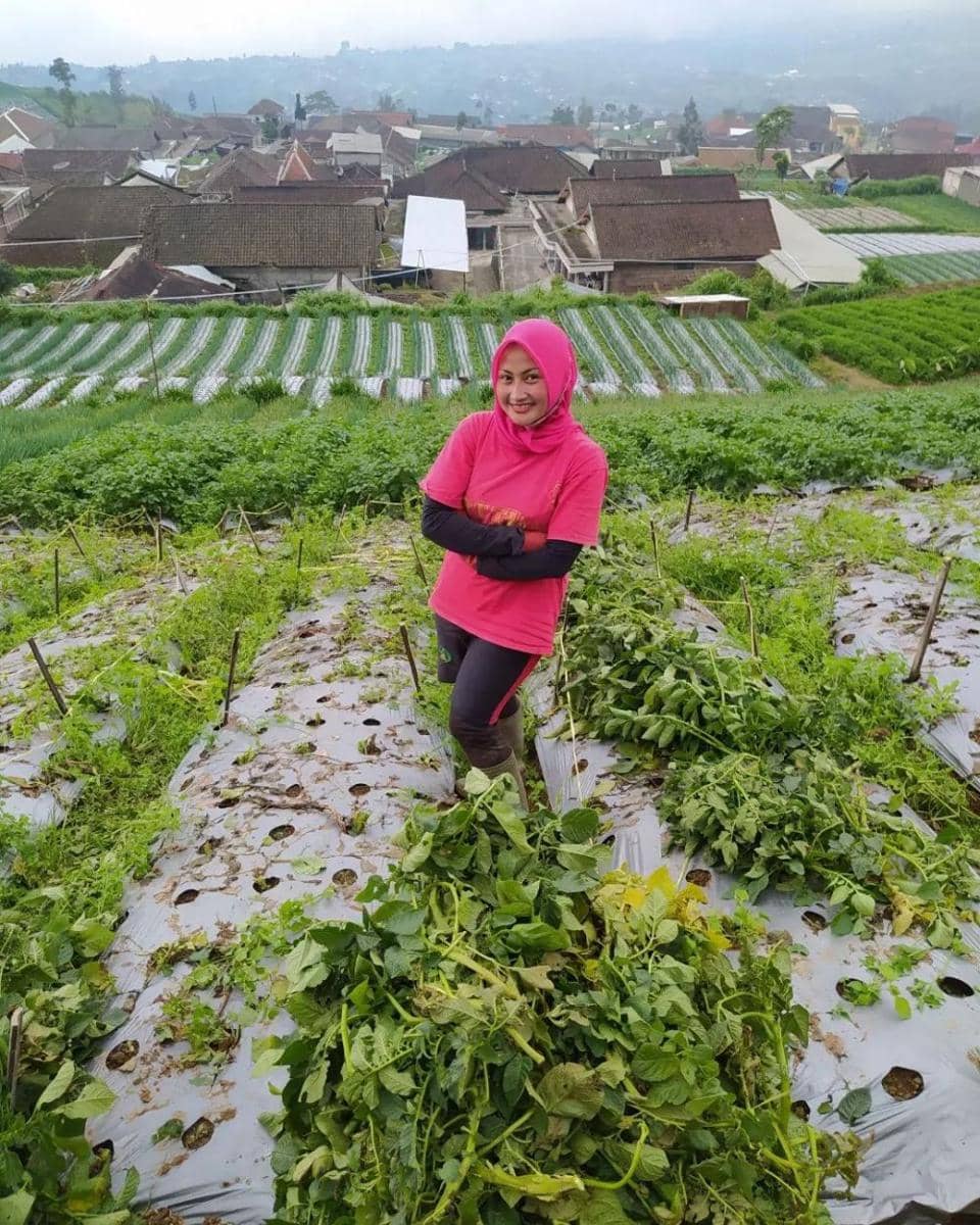 Novi Listiana (instagram.com/novilisty_)