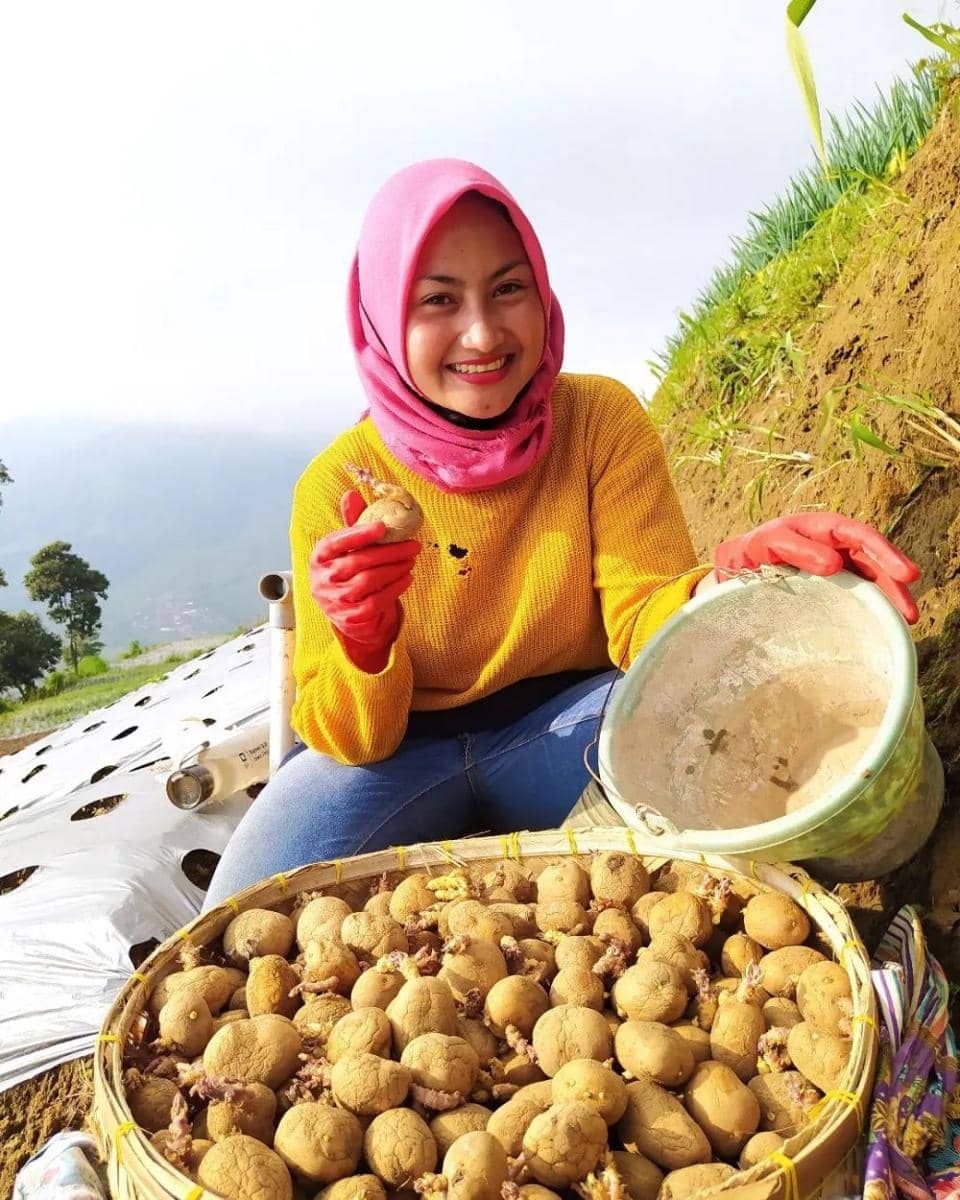 Novi Listiana (instagram.com/novilisty_)