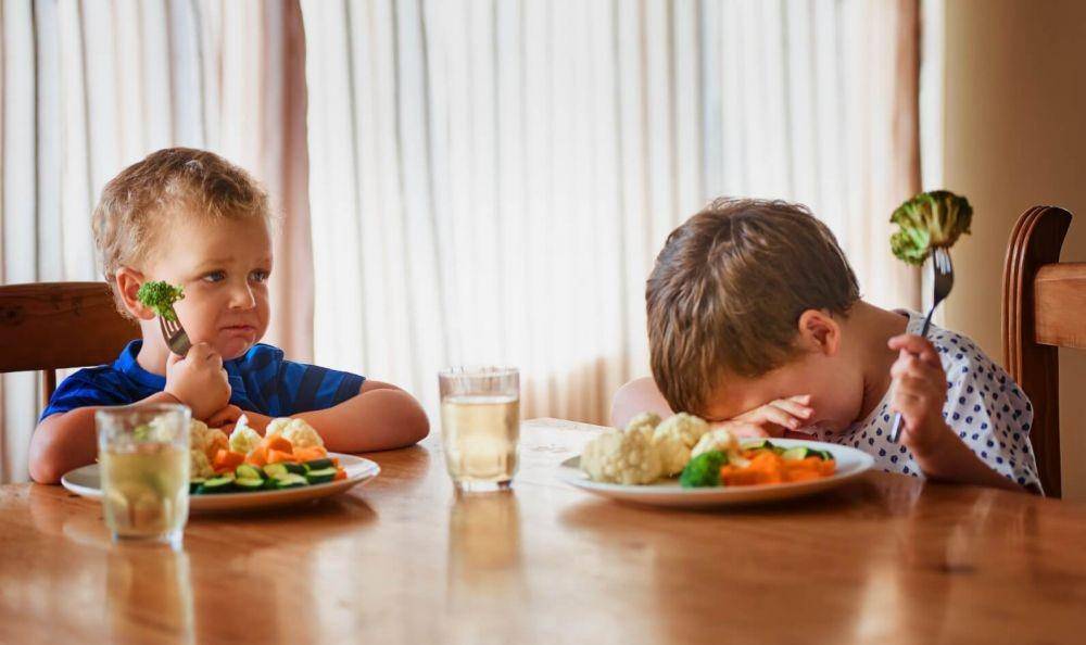 ilustrasi anak-anak tidak mau makan sayur (lastenmetsola.fi)