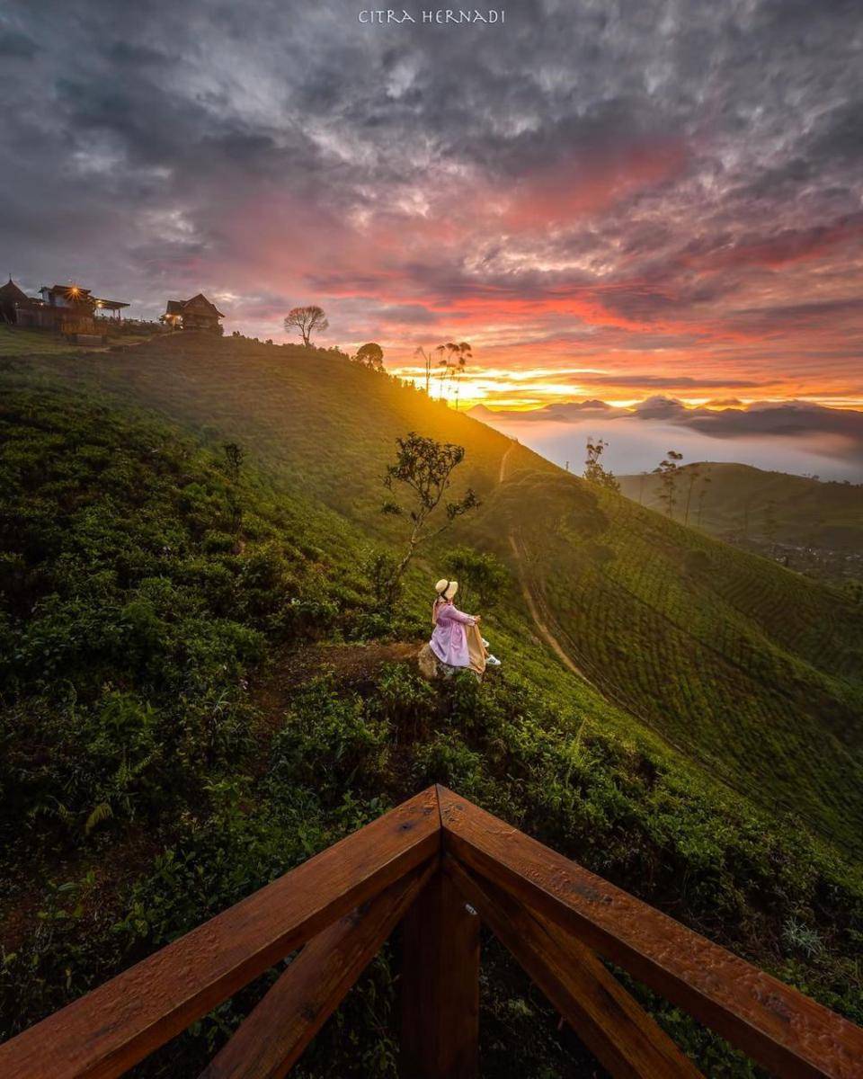 Taman Langit Pangalengan (instagram.com/citra_hernadi)