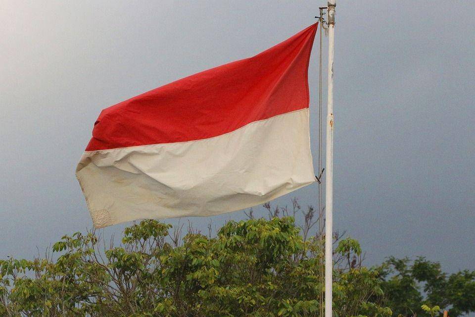 Ilustrasi bendera merah putih (pixabay.com/andreas_danang_a)