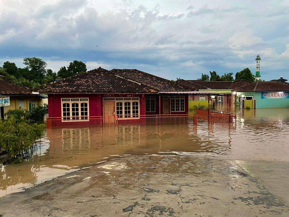 Walhi Lampung menyoroti klaim Pemerintah Kota (Pemkot) Bandar Lampung berhasil mengurangi banjir dalam satu tahun kepemimpin Wali Kota Eva Dwiana. (IDN Times/Istimewa)